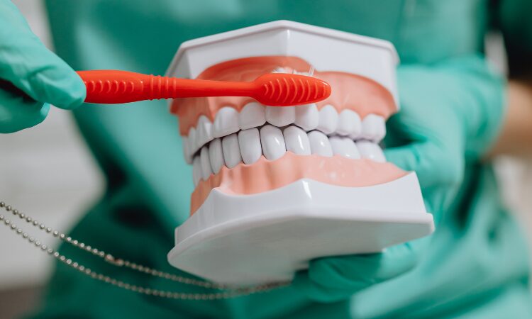 Preventing gum disease is not only key to keeping your teeth intact and maintaining your smile but also essential for overall health.